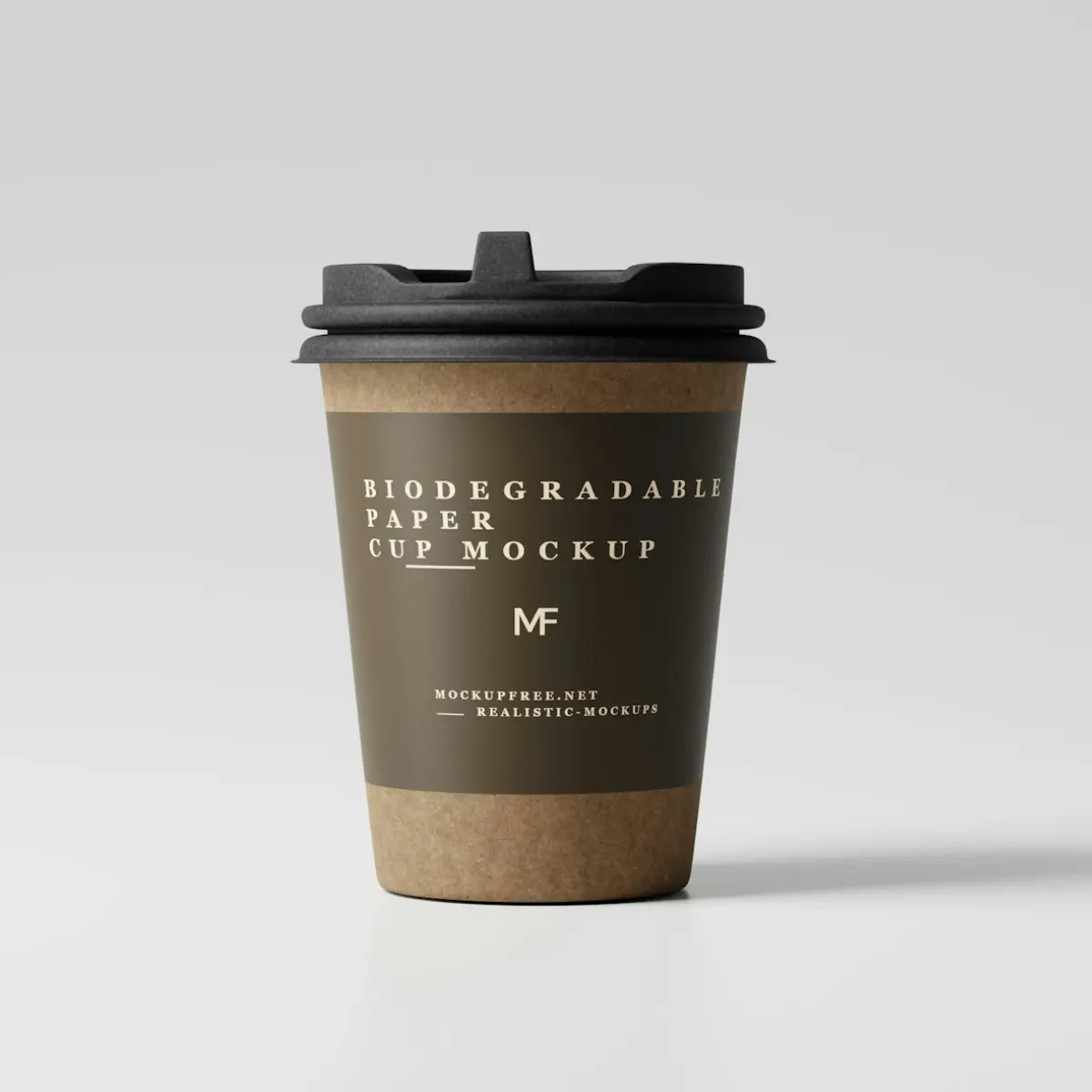 Portfolio Showcase - 5